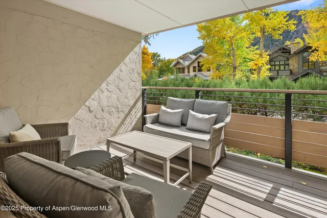 $15,000 | 980 East Hyman Avenue, Unit 3, Aspen, CO 81611