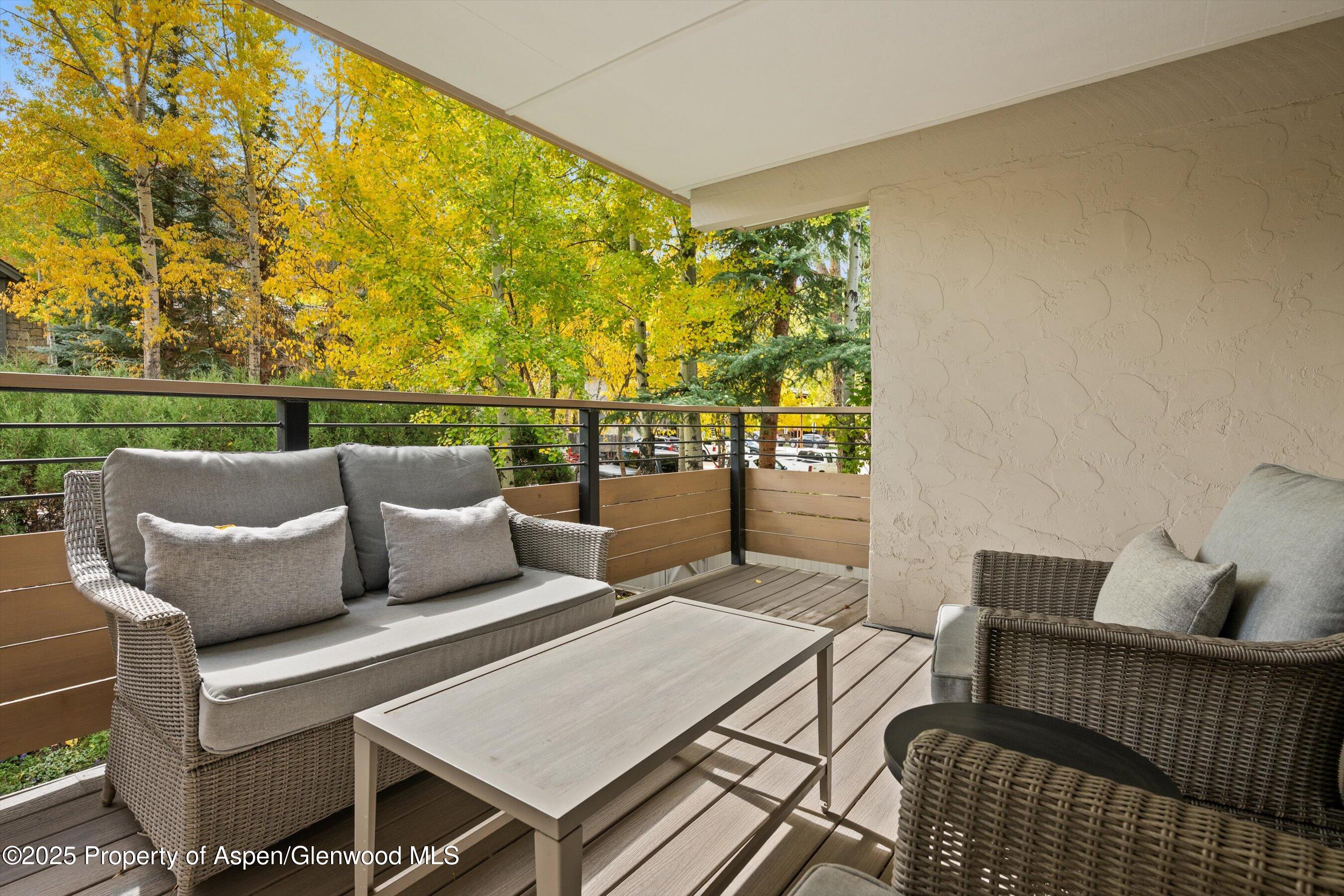 980 East Hyman Avenue, Unit 3 Aspen, CO 81611 - Photo 16 of 26 a roof deck with couches and wooden floor