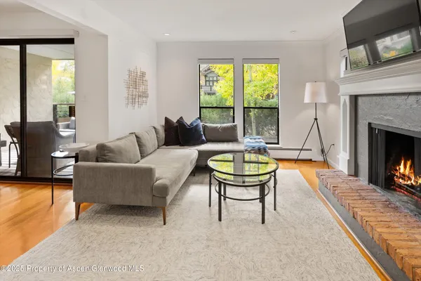a living room with furniture and a fireplace
