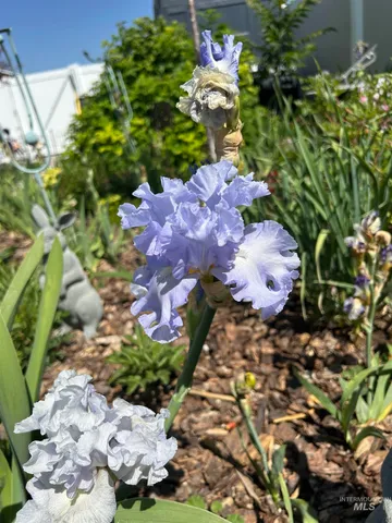 $785,000 | 764 Heidi Terrace, Kimberly, ID 83341