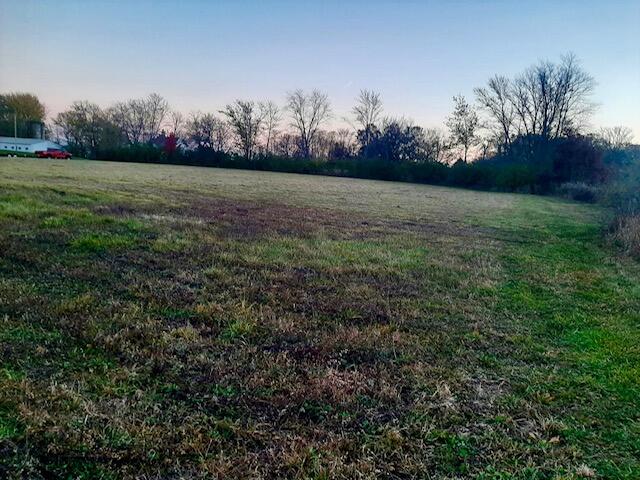 16848 Holtz Road Lowell, IN 46356 - Photo 5 of 5 a view of a field with trees in the background