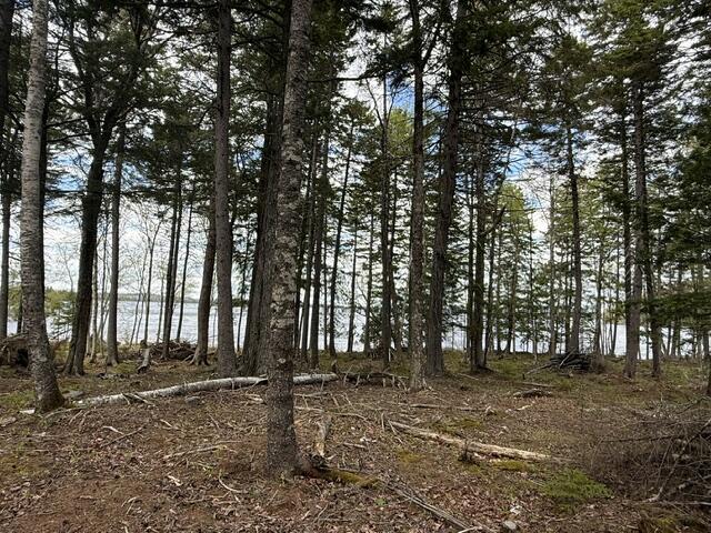 Lot12-part Indian Trail Road East Machias, ME 04630 - Photo 18 of 34 IMG_9893