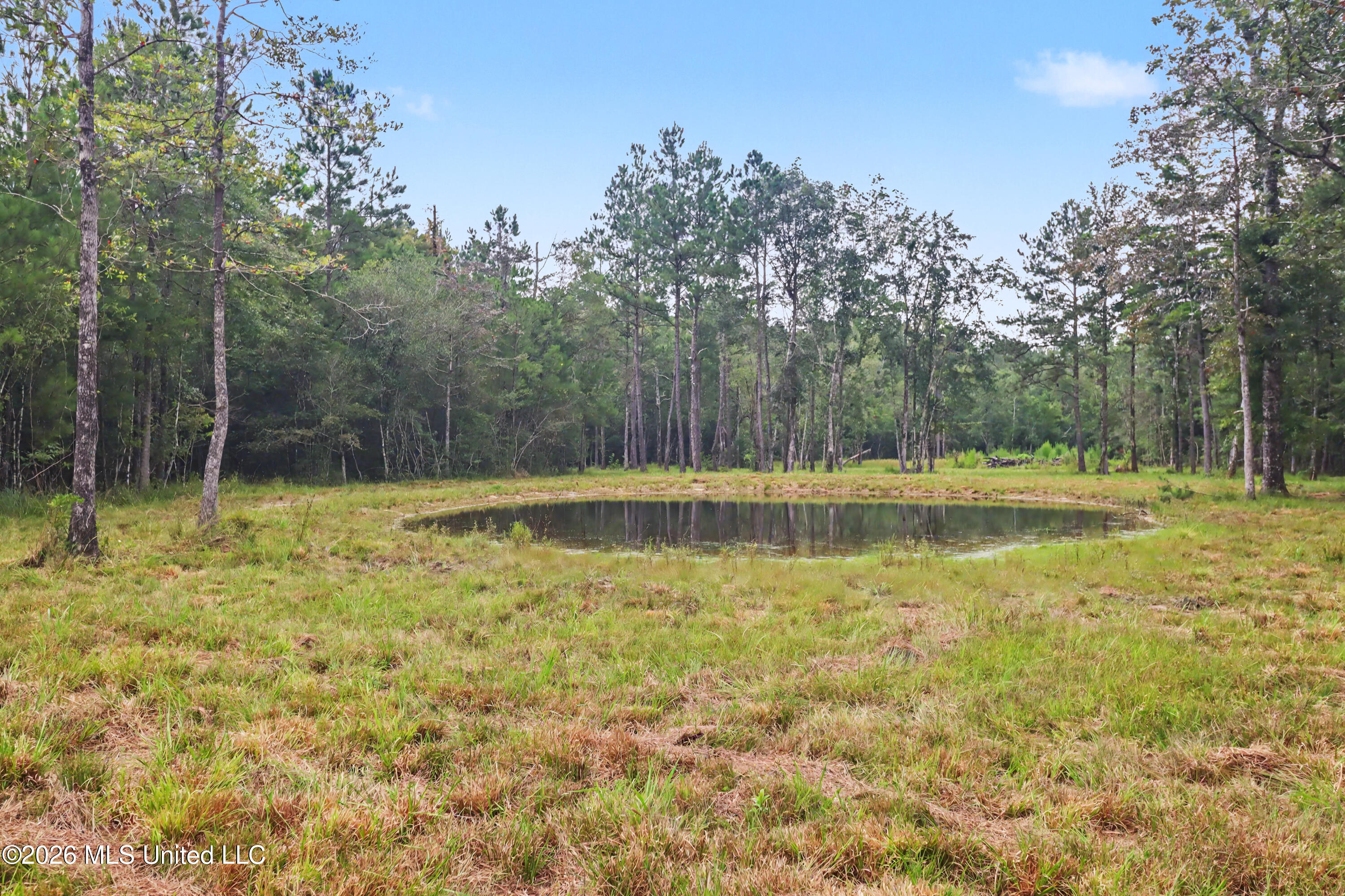 400 B New Hope Road Wiggins, MS 39577 - Photo 20 of 20 IMG_7181