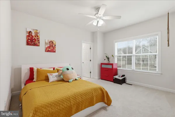 a living room with a bed furniture and a window