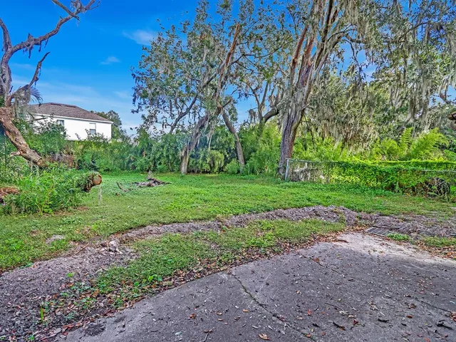 a view of a yard with plants and a large tree