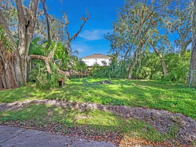 a view of a yard with plants and a large tree