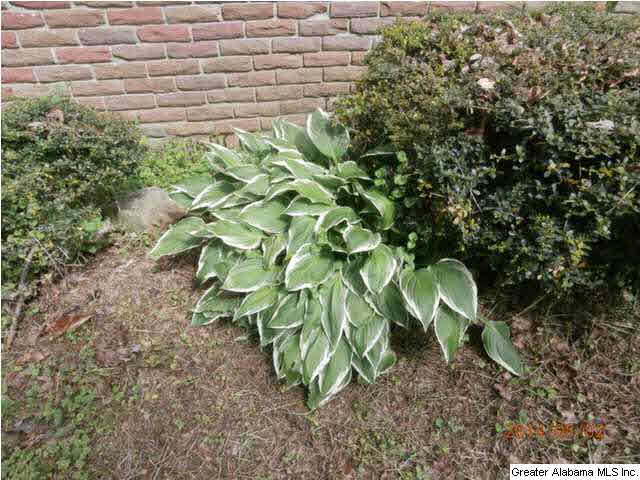 4238 Nauvoo Road Nauvoo, AL 35578 - Photo 17 of 28