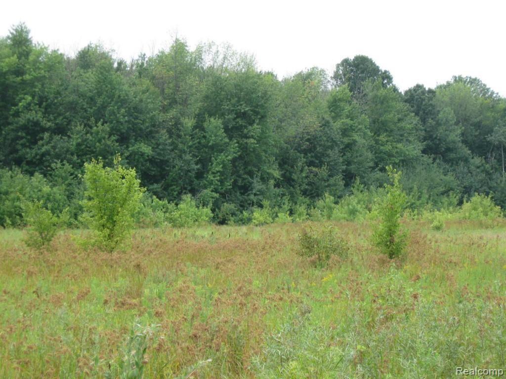 0 Todd Road Croswell, MI 48422 - Photo 1 of 3