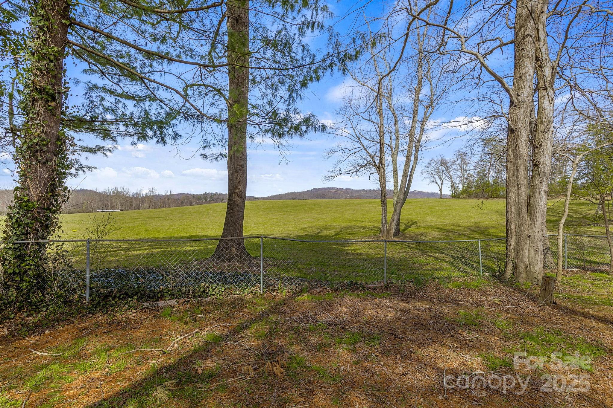110 Cannon Drive Hendersonville, NC 28792 - Photo 31 of 36 a view of an ocean with a big yard