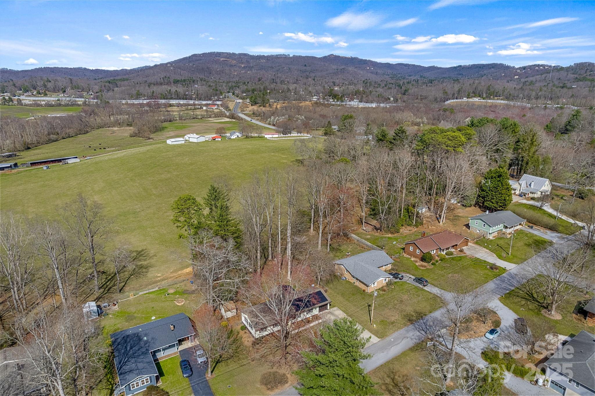 110 Cannon Drive Hendersonville, NC 28792 - Photo 33 of 36 an aerial view of residential houses with outdoor space