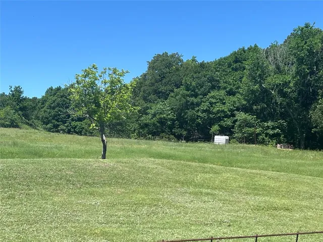 a view of a garden with a tree