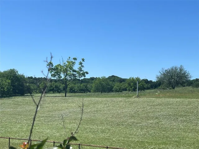 a view of a field with trees in the background