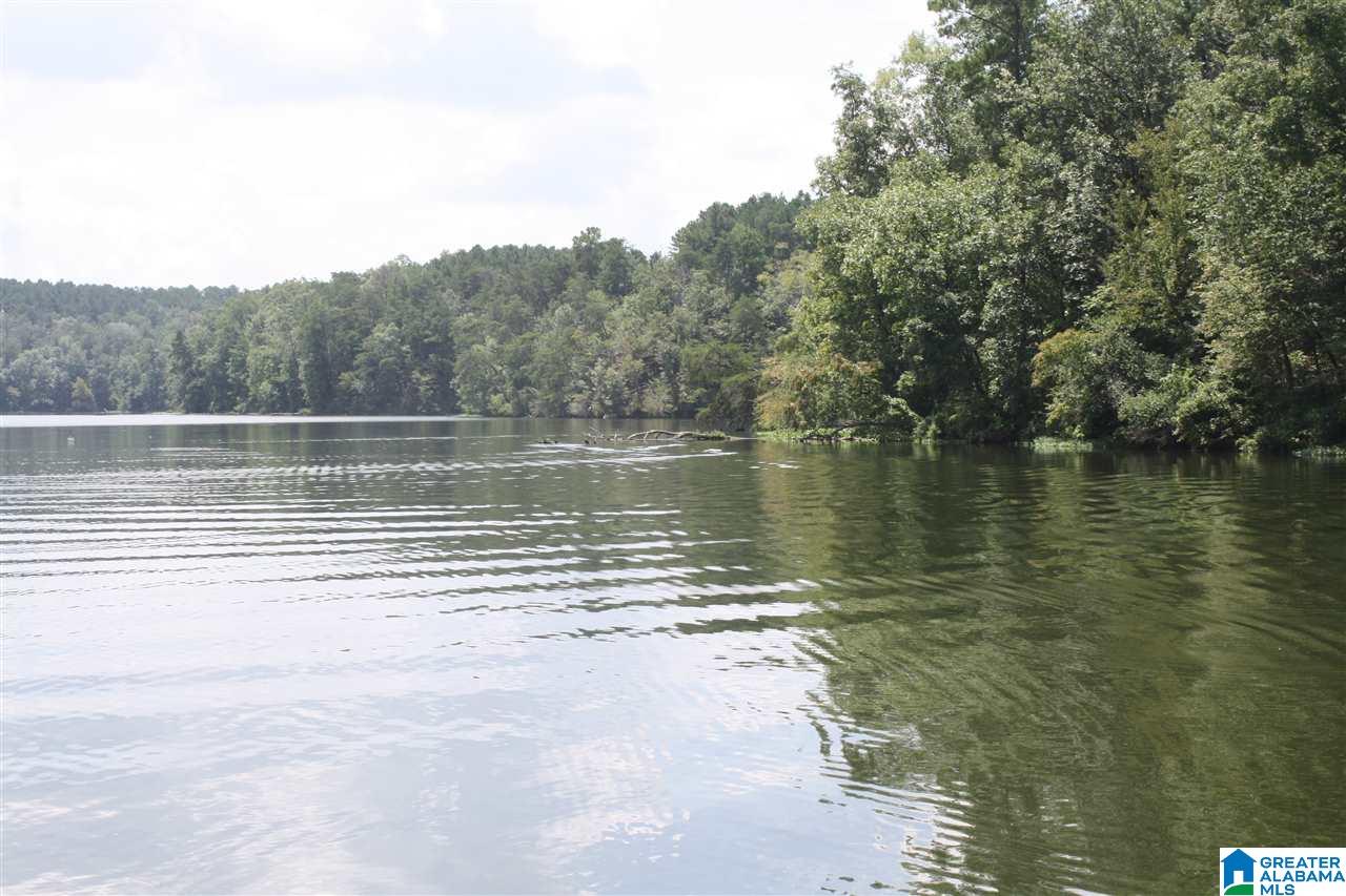 Franklin Ferry Road, Unit 17 Oakman, AL 35579 - Photo 18 of 22