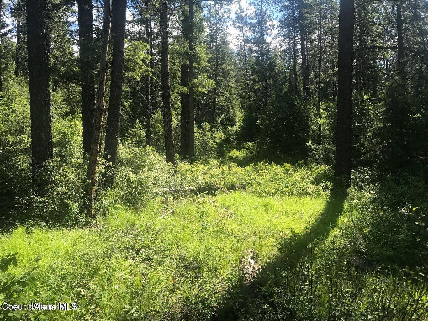 41 Quiet Road Athol, ID 83801 - Photo 11 of 16 20220624223100369675000000-o