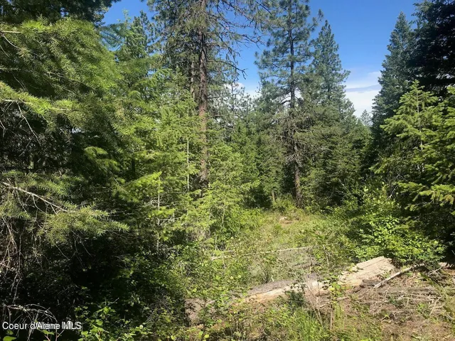 $279,500 | 41 Quiet Road, Athol, ID 83801