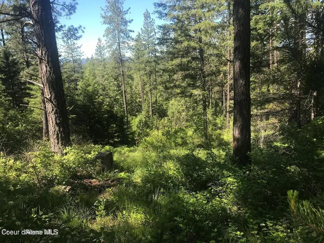 $279,500 | 41 Quiet Road, Athol, ID 83801