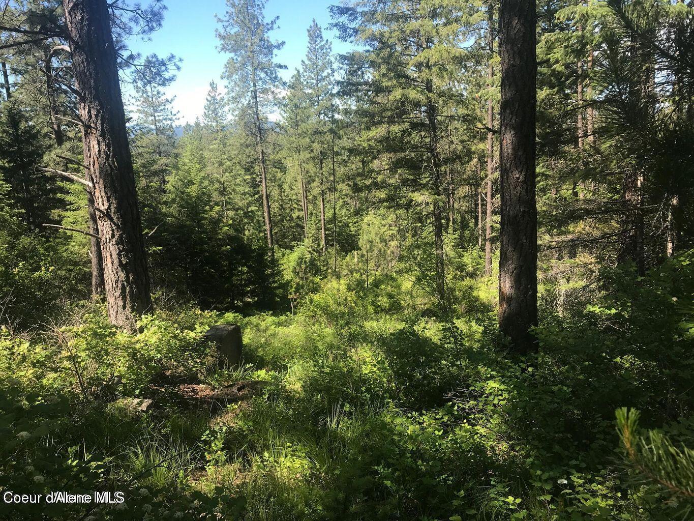 41 Quiet Road Athol, ID 83801 - Photo 13 of 16 20220624223129150476000000-o