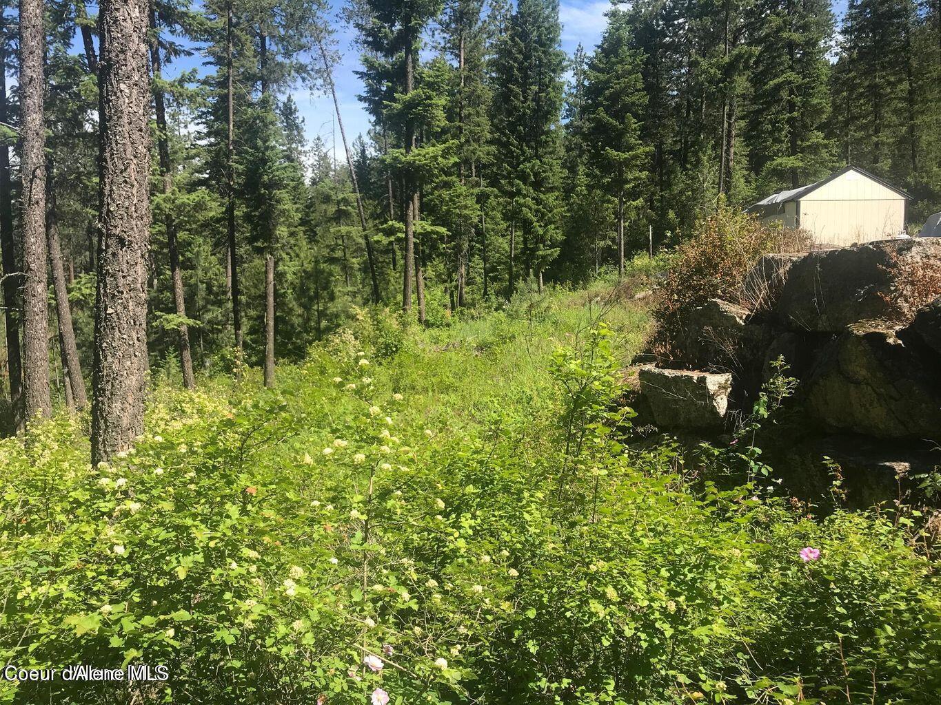 41 Quiet Road Athol, ID 83801 - Photo 14 of 16 20220624223202048416000000-o