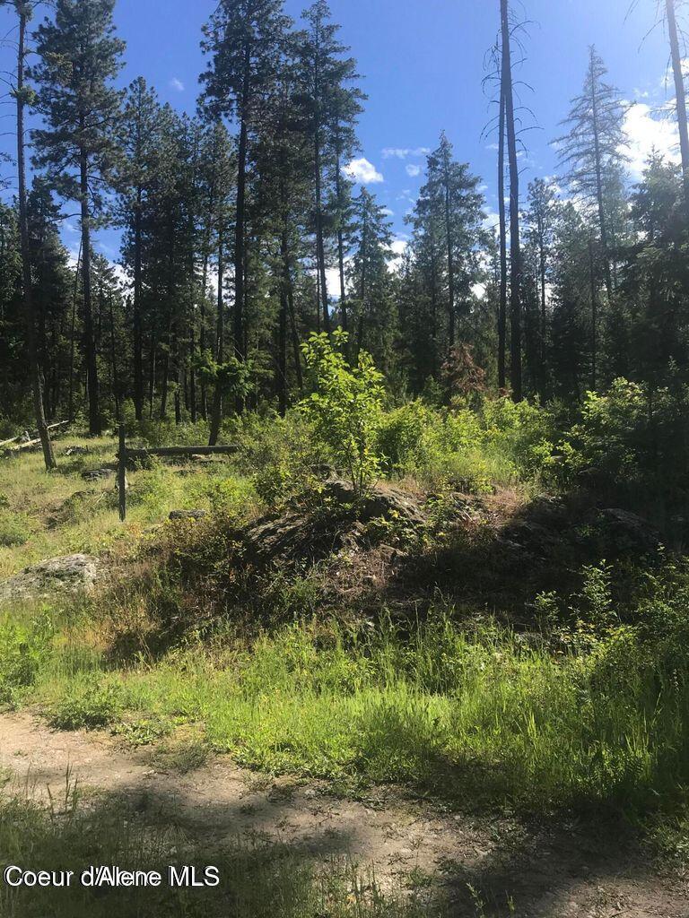 41 Quiet Road Athol, ID 83801 - Photo 15 of 16 20220624223302450026000000-o