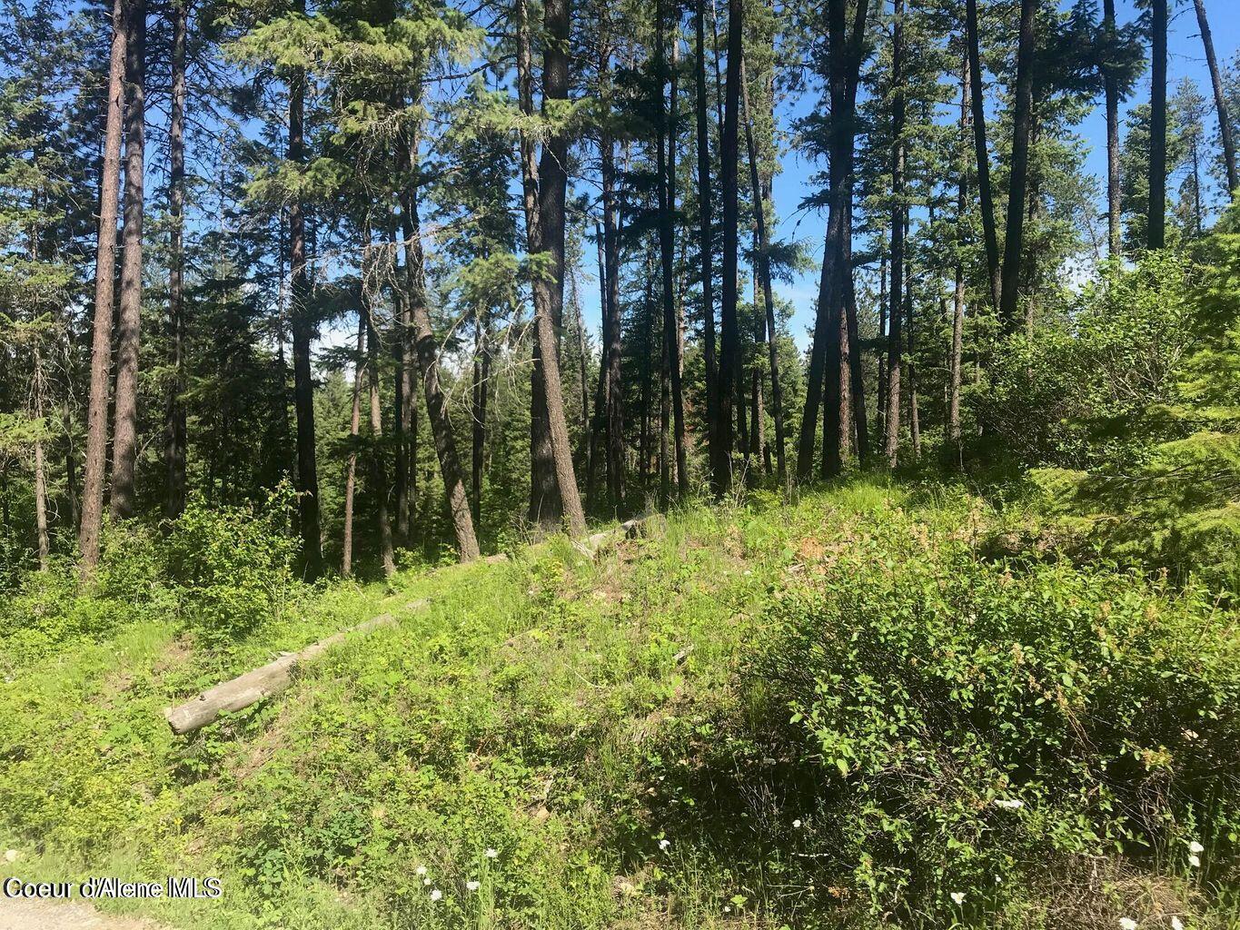 41 Quiet Road Athol, ID 83801 - Photo 5 of 16 20220624223039490371000000-o