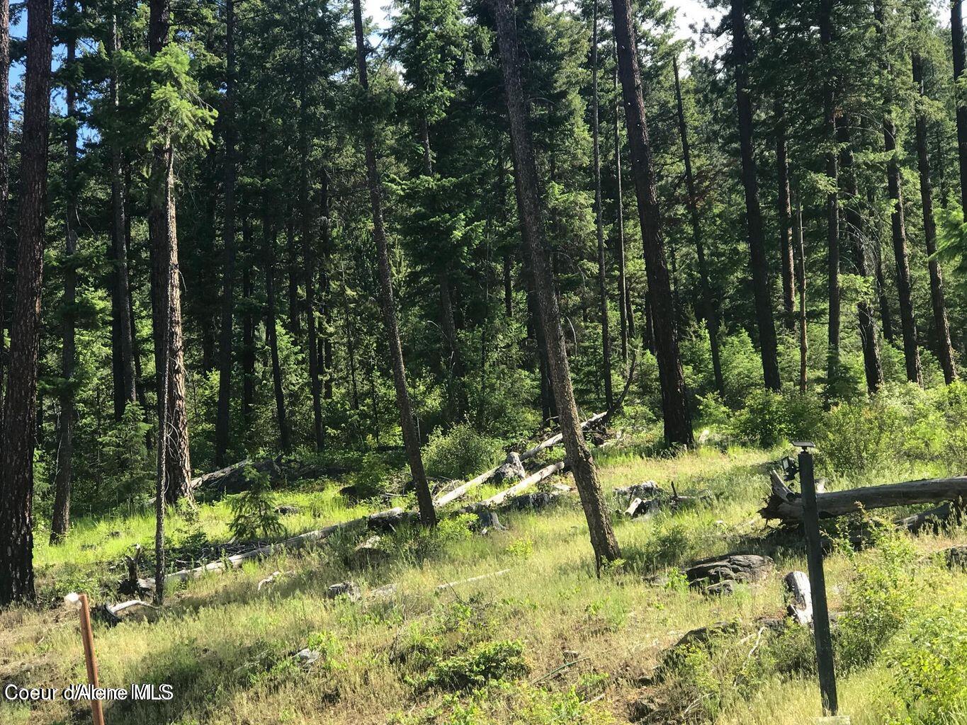 41 Quiet Road Athol, ID 83801 - Photo 6 of 16 20220624223026533347000000-o