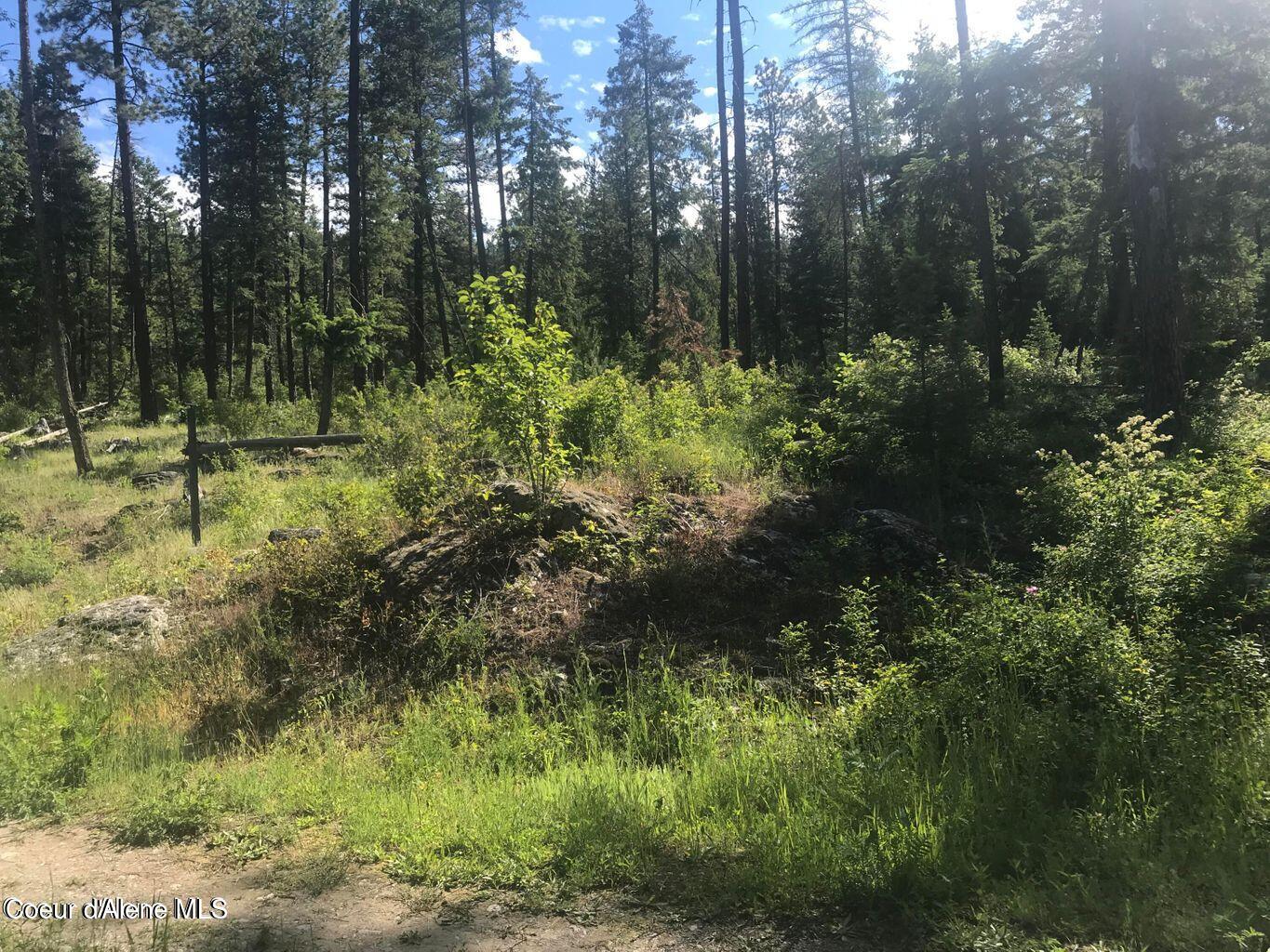 41 Quiet Road Athol, ID 83801 - Photo 7 of 16 20220624223001729033000000-o