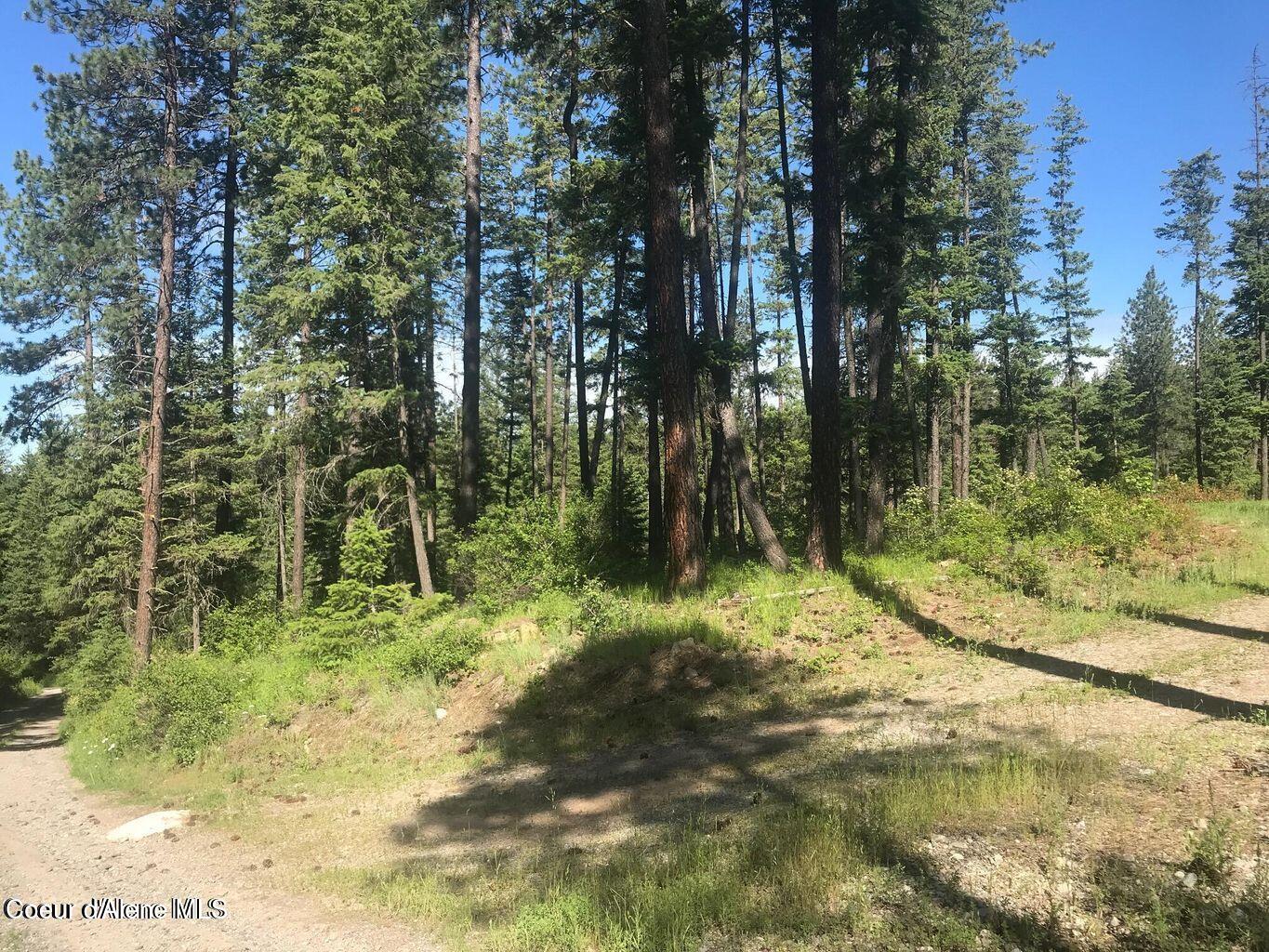 41 Quiet Road Athol, ID 83801 - Photo 8 of 16 20220624223032937884000000-o