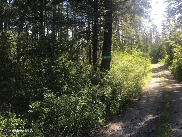 $279,500 | 41 Quiet Road, Athol, ID 83801