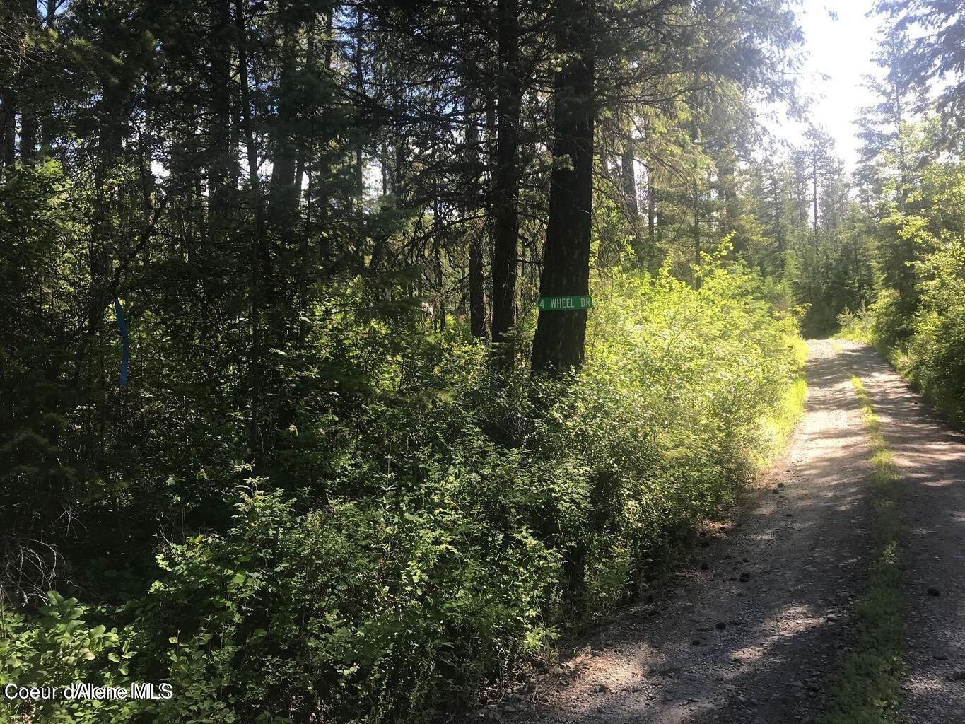 41 Quiet Road Athol, ID 83801 - Photo 9 of 16 20220624223042614349000000-o