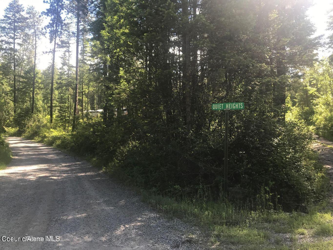 41 Quiet Road Athol, ID 83801 - Photo 10 of 16 20220624223045530926000000-o