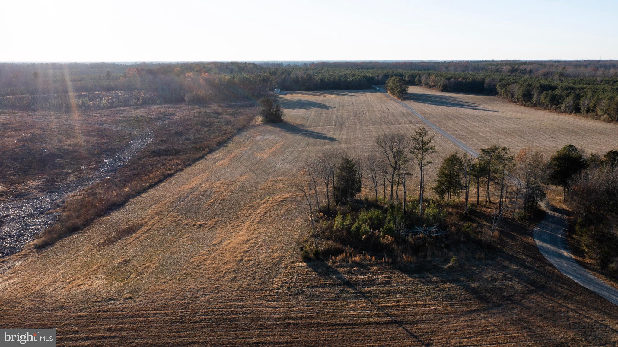 28131 Signboard Road Ruther Glen, VA 22546 - Photo 24 of 68 Gallery Image 24