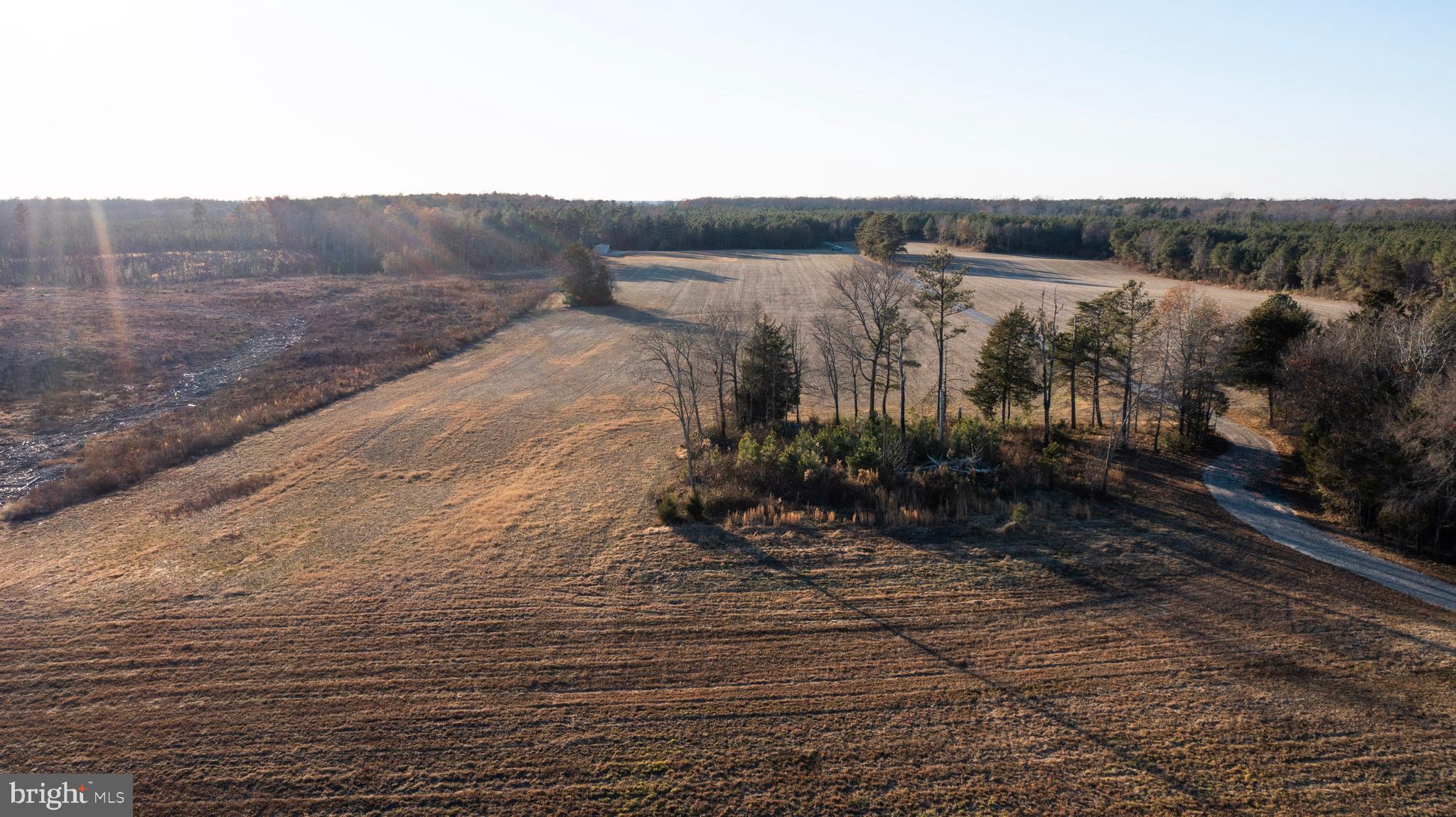 28131 Signboard Road Ruther Glen, VA 22546 - Photo 25 of 68 Gallery Image 25