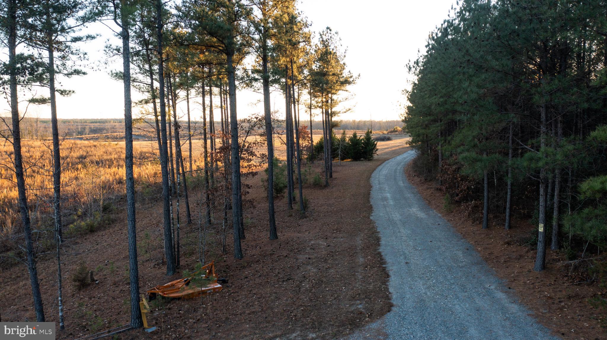 28131 Signboard Road Ruther Glen, VA 22546 - Photo 49 of 68 Gallery Image 49