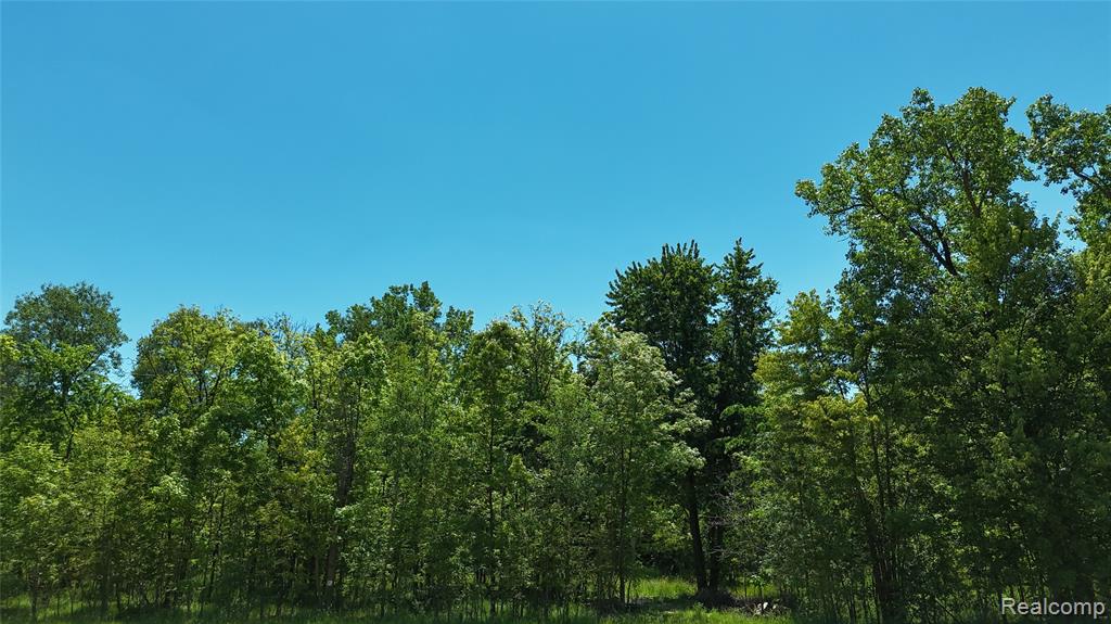 0 Williams Road Gaines, MI 48436 - Photo 17 of 28