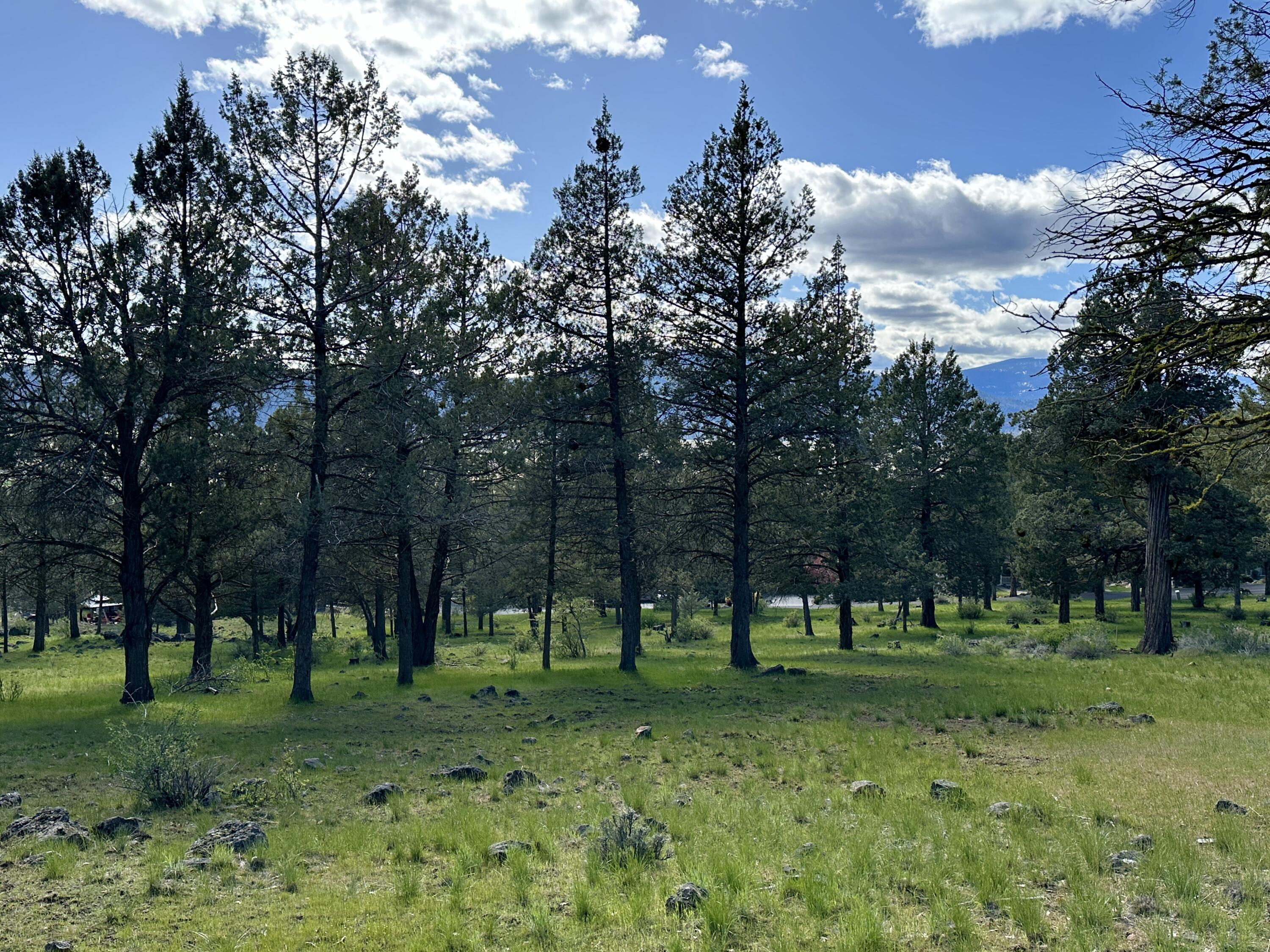 Lot 805 Cooper's Hawk Road Klamath Falls, OR 97601 - Photo 3 of 27 3