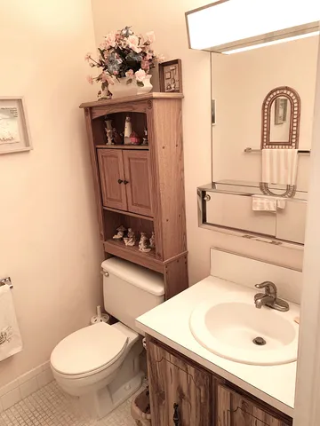 a bathroom with a sink and a toilet