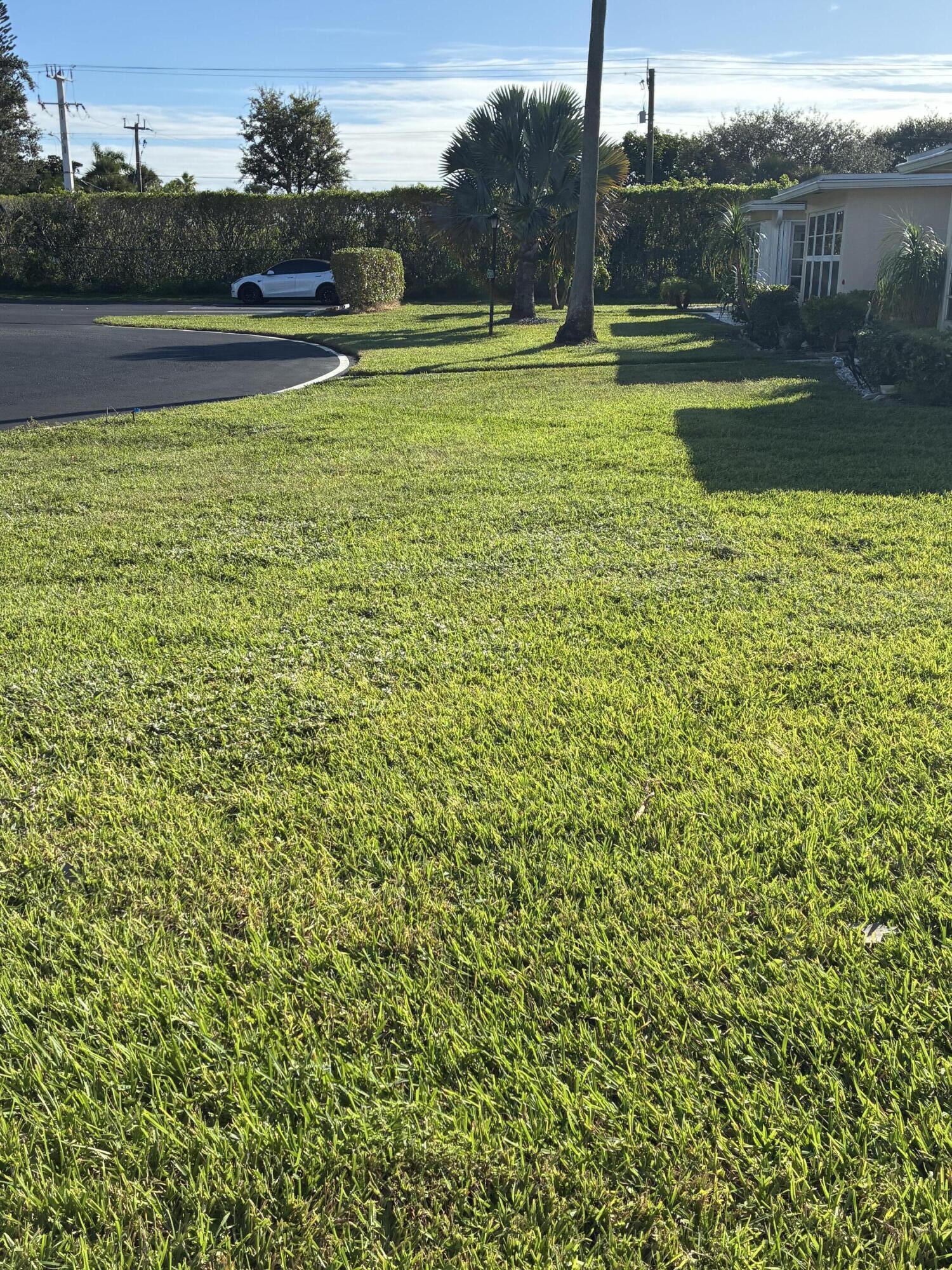 4540 Northwest 3rd Court, Unit C Delray Beach, FL 33445 - Photo 24 of 29 a view of outdoor space with swimming pool