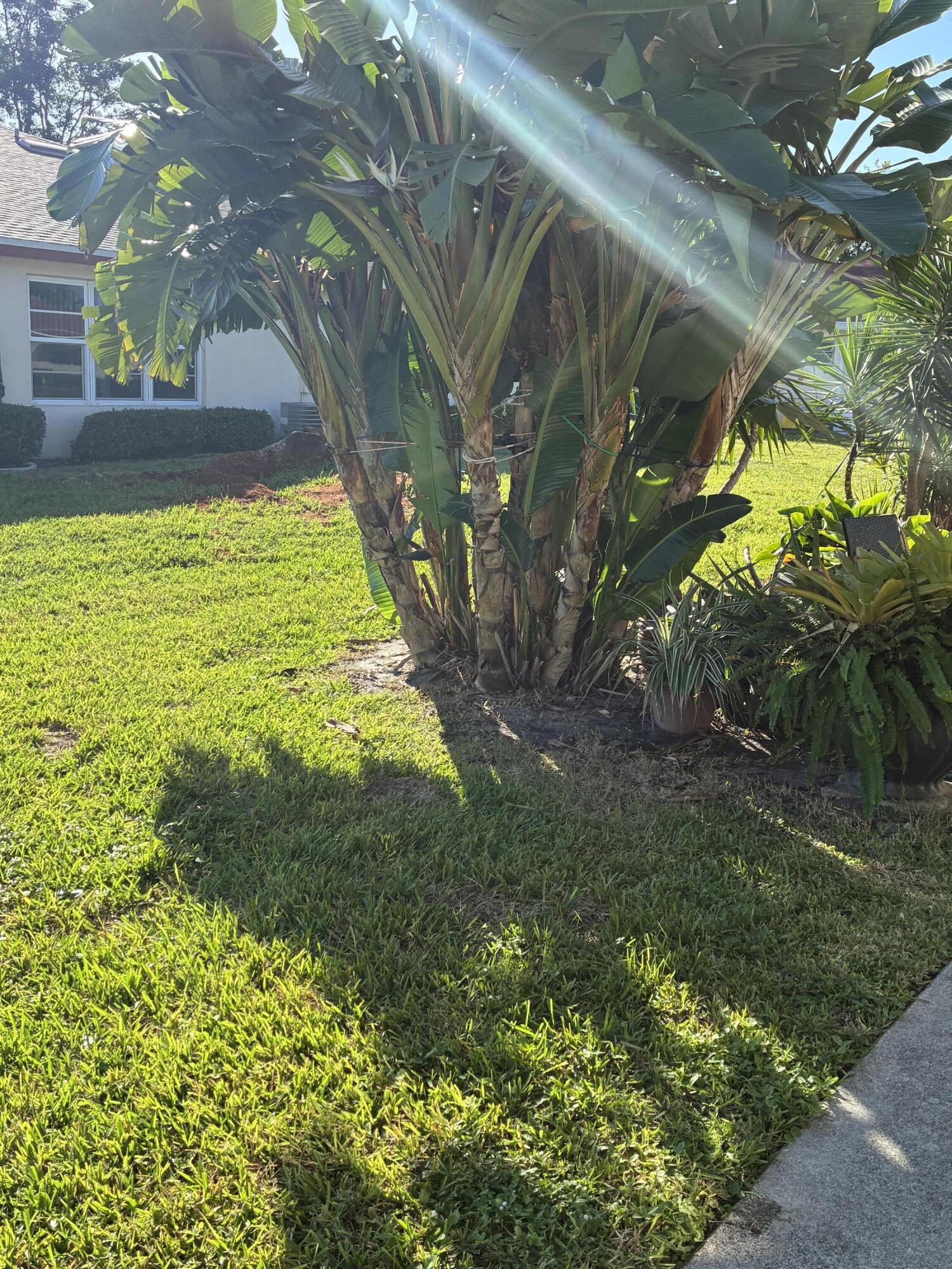 4540 Northwest 3rd Court, Unit C Delray Beach, FL 33445 - Photo 25 of 29 a view of an outdoor space
