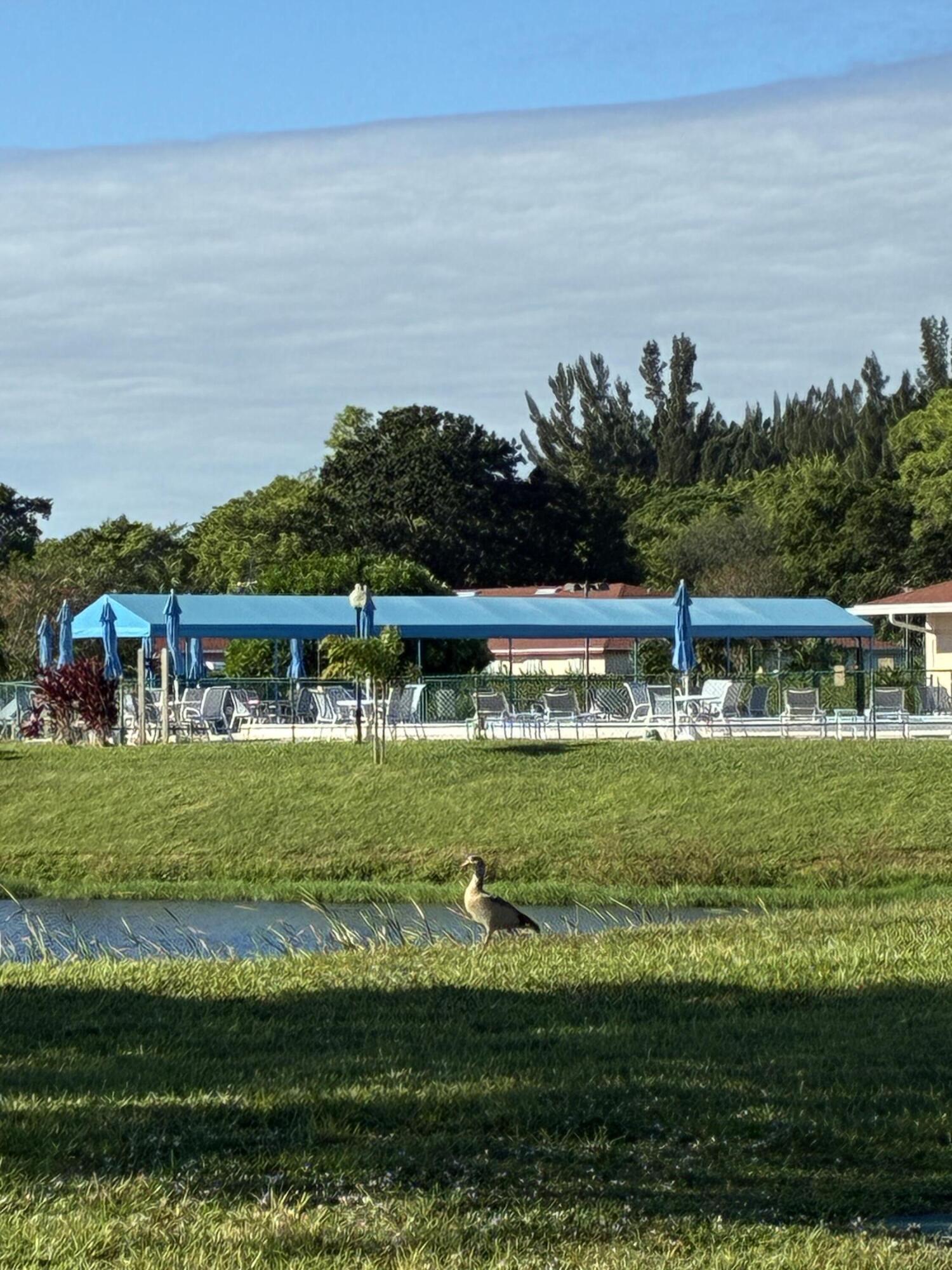 4540 Northwest 3rd Court, Unit C Delray Beach, FL 33445 - Photo 29 of 29 a view of a big yard with a lake view