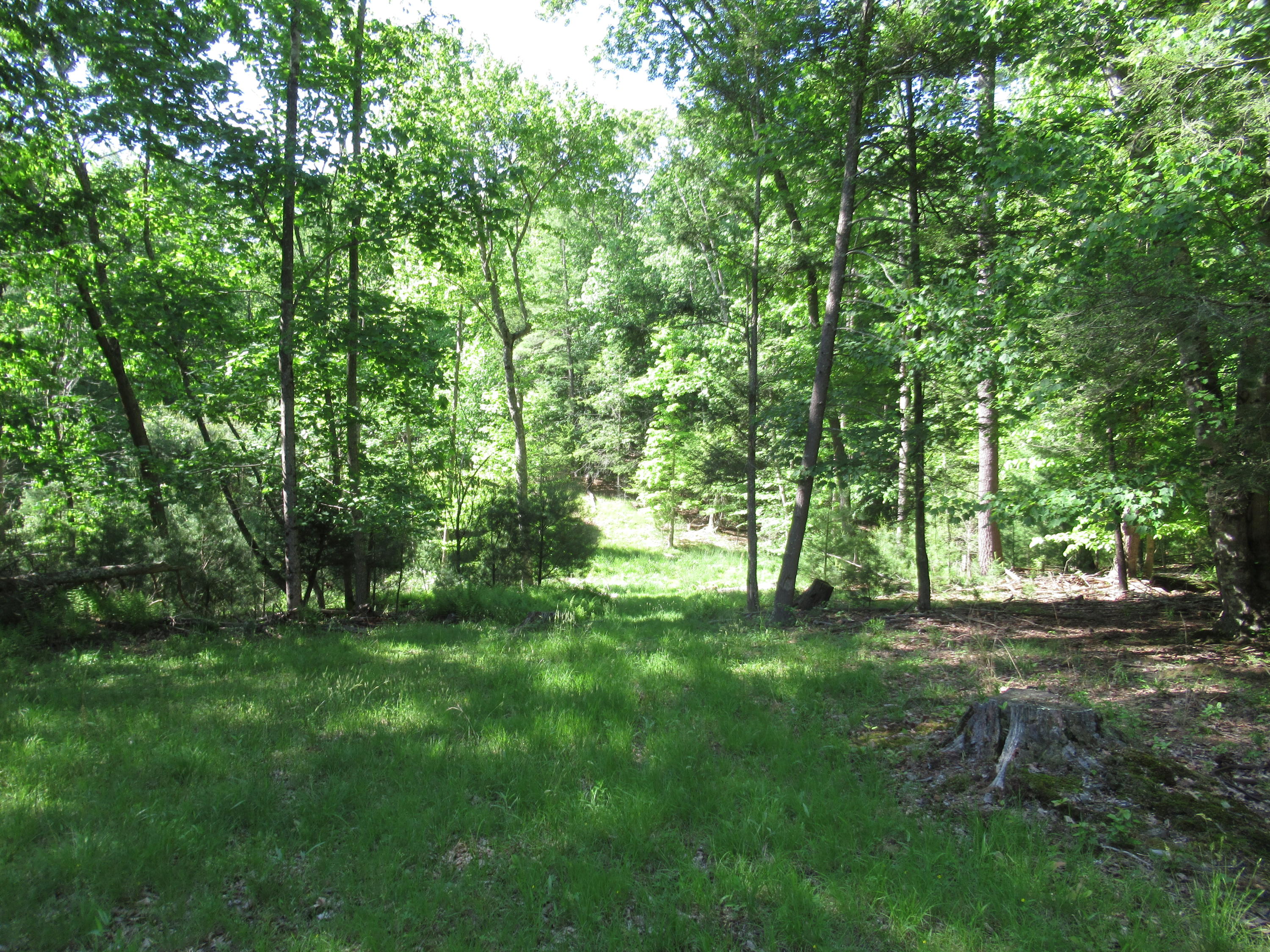 429 Woodbrier Estates Road Alderson, WV 24910 - Photo 32 of 38 Gallery Image 32
