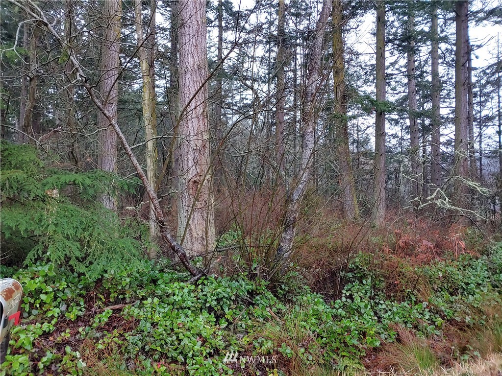 0 West Troxell Road Oak Harbor, WA 98277 - Photo 5 of 7 Gallery Image 5