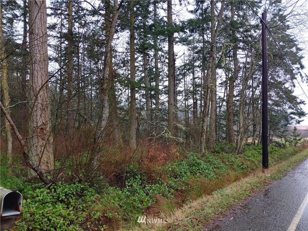 0 West Troxell Road Oak Harbor, WA 98277 - Photo 6 of 7 Gallery Image 6