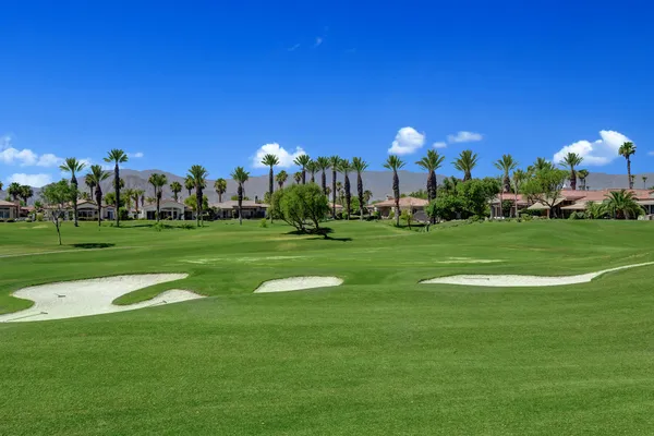 a view of a building in the background