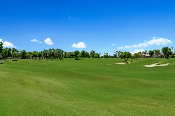 a view of a grassy field with trees