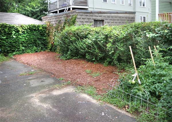 41 Chetwynd Road Somerville, MA 02144 - Photo 23 of 25 Gallery Image 23
