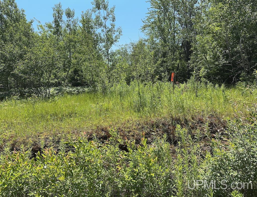 Parcel A Webb Road Grand Marais, MI 49839 - Photo 15 of 29