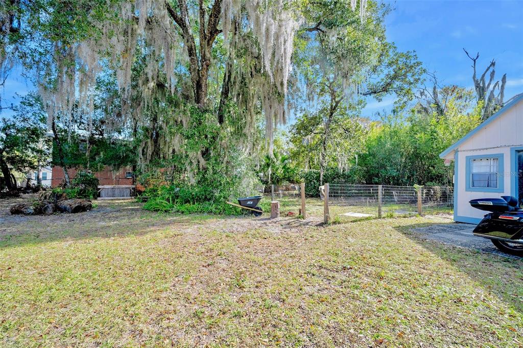 228 West Howry Avenue DeLand, FL 32720 - Photo 49 of 55 a view of road with card and trees