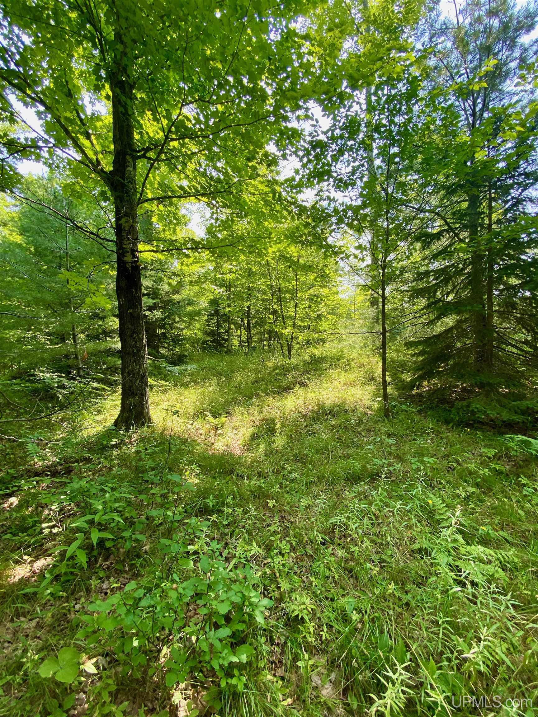 Parcel A Boundary Road Houghton, MI 49931 - Photo 19 of 26 Gallery Image 19