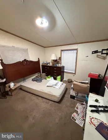 a living room with furniture and a lamp