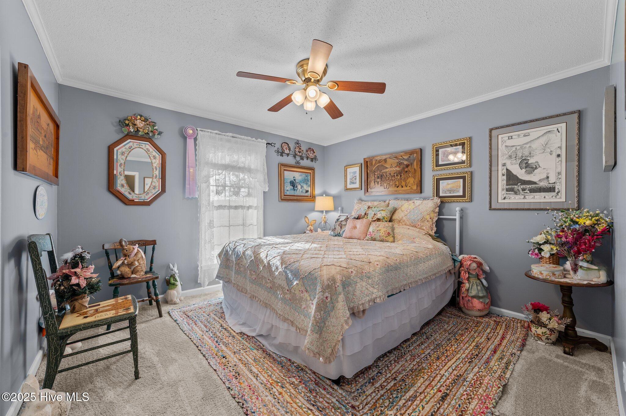 3428 Stanley Road Winterville, NC 28590 - Photo 19 of 50 SECOND BEDROOM